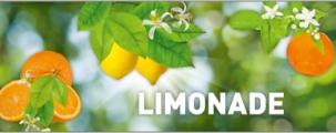 Limonaden Sortiment